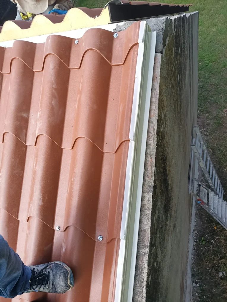 Reparación de tejado y canalón en Vigo